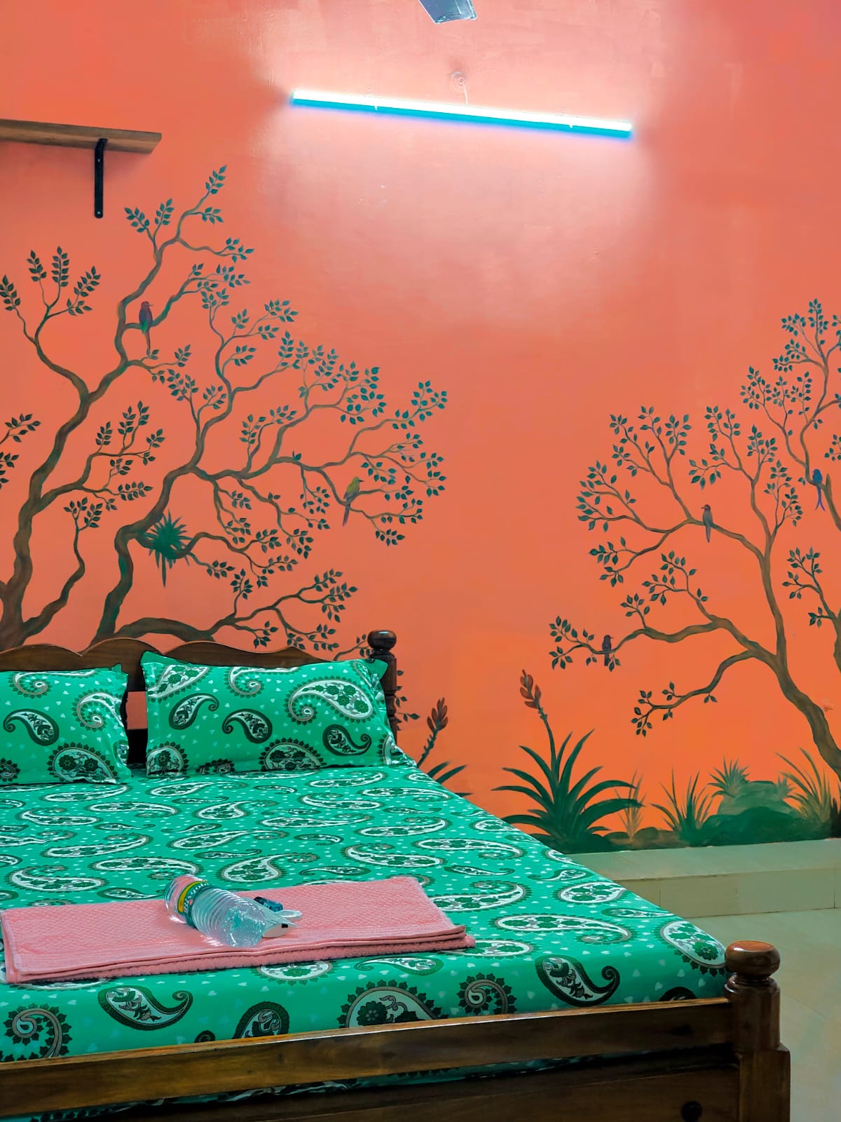 Auro Point room